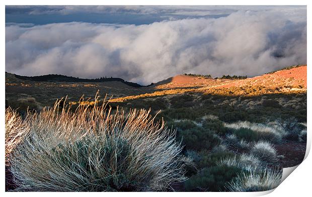 Above the Clouds, Tenerife Print by Geoff Storey