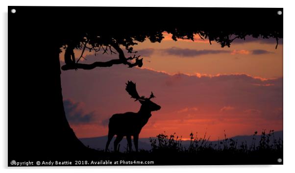 Fallow Stag Sunset Acrylic by Andy Beattie