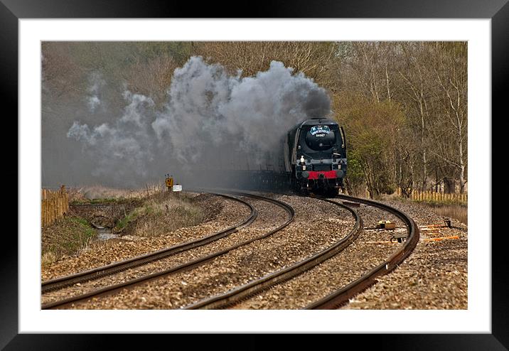 Tangmere Framed Mounted Print by Geoff Storey