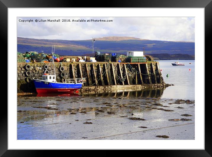 Fishermans Pier . Tobermoray Isle of Mull.  Framed Mounted Print by Lilian Marshall