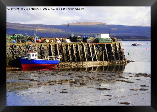 Fishermans Pier . Tobermoray Isle of Mull.  Framed Print by Lilian Marshall