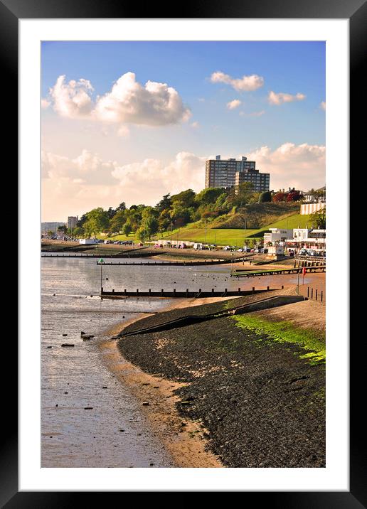 Three Shells Beach Southend Framed Mounted Print by Andy Evans Photos