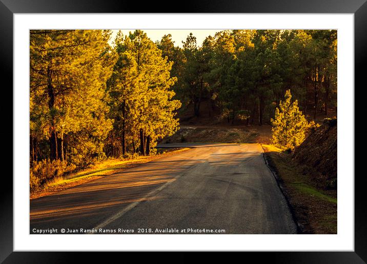 Mountain road between pines at sunset Framed Mounted Print by Juan Ramón Ramos Rivero