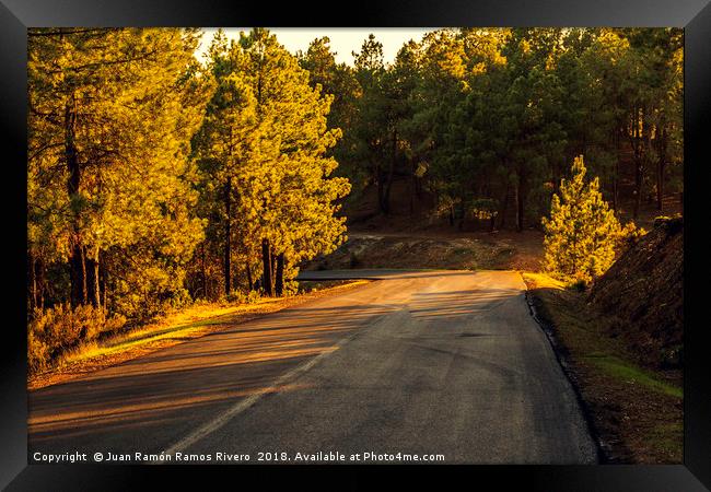 Mountain road between pines at sunset Framed Print by Juan Ramón Ramos Rivero