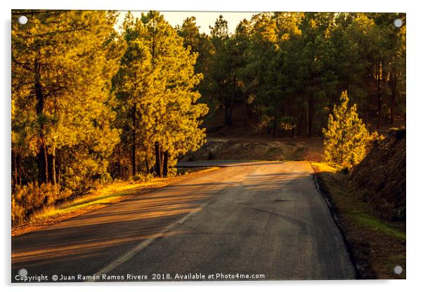 Mountain road between pines at sunset Acrylic by Juan Ramón Ramos Rivero
