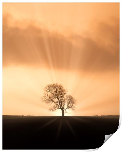 Sunburst Silhouette Print by Chris Sweet