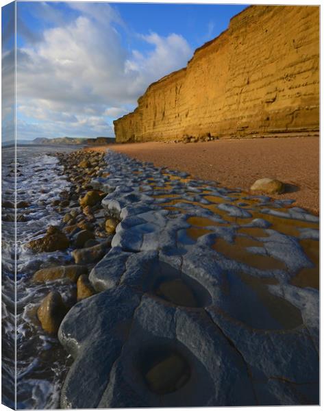 Golden cliff reflections Canvas Print by David Neighbour
