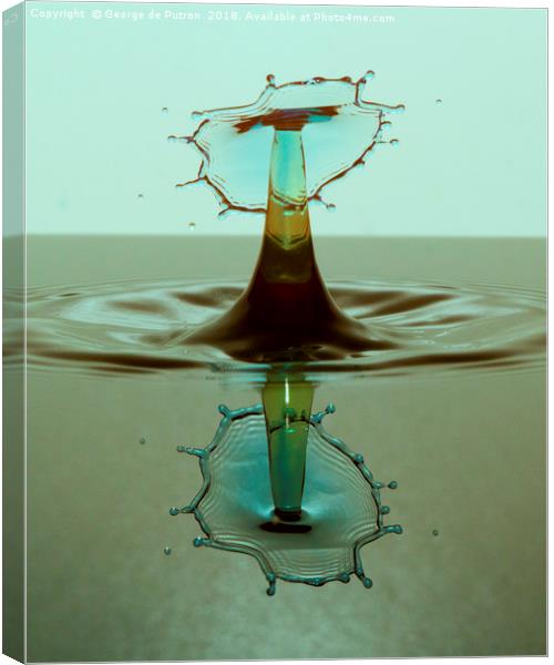 Water Mushroom with reflection. Canvas Print by George de Putron