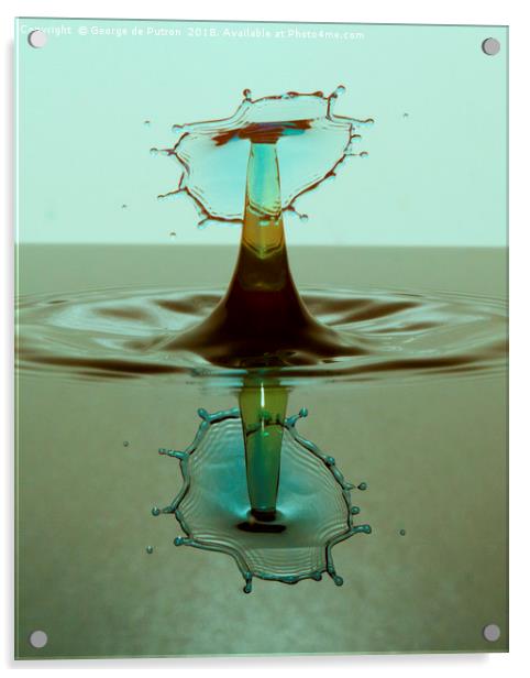 Water Mushroom with reflection. Acrylic by George de Putron