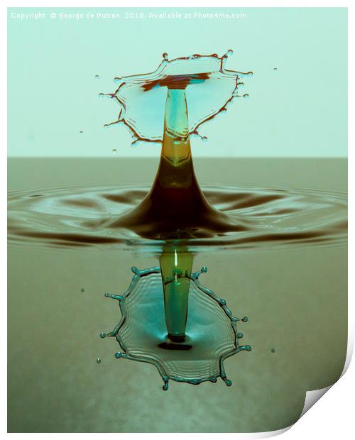 Water Mushroom with reflection. Print by George de Putron