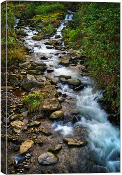 West Lyn River at Lynmouth                      Canvas Print by Darren Galpin