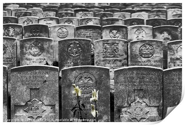 WW1 Graves Print by Colin Woods