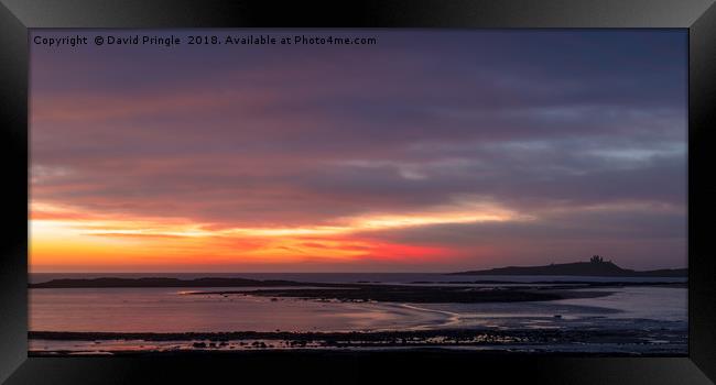 Sunrise at Dunstanburgh Castle Framed Print by David Pringle