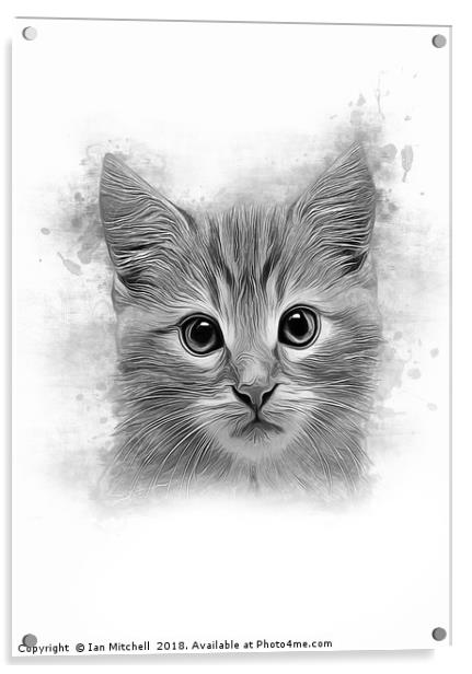 Cat Portrait Acrylic by Ian Mitchell