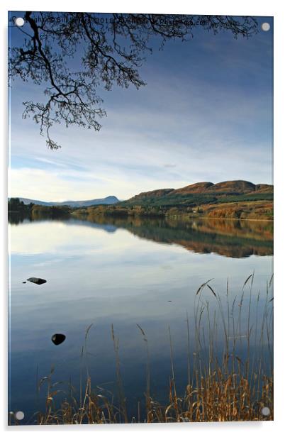The Lake of Menteith Acrylic by Bill Spiers