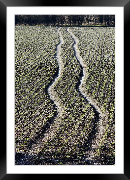 Field tracks Framed Mounted Print by Tony Bates