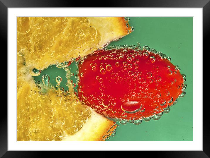 Hungry Orange Framed Mounted Print by Mike Gorton