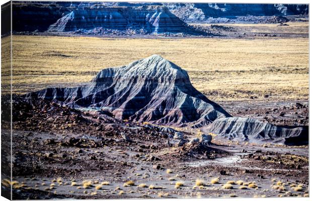 Painted Desert Canvas Print by David Hare