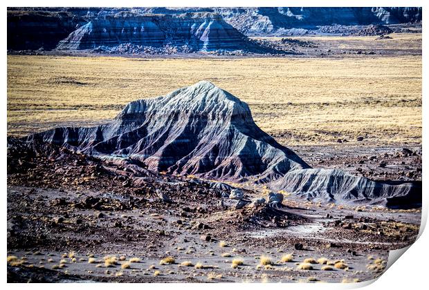 Painted Desert Print by David Hare