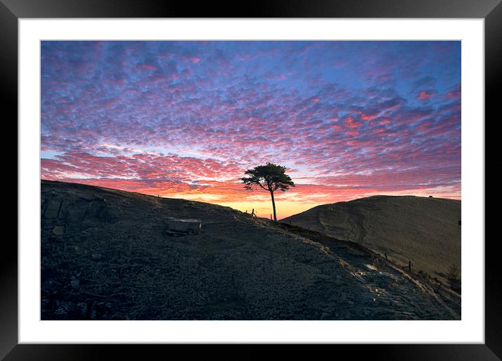 Back Tor Tree sunrise, Peak District. UK Framed Mounted Print by John Finney