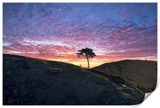 Back Tor Tree sunrise, Peak District. UK Print by John Finney