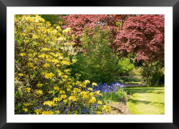 Fyvie Castle & Garden Framed Mounted Print by Thomas Schaeffer