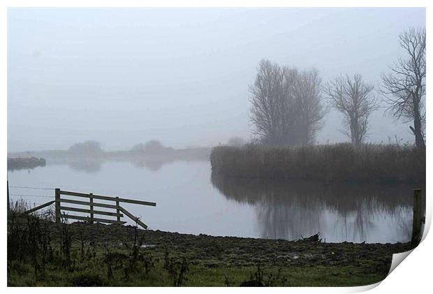 Norfolk mist Print by Sheryl Brown
