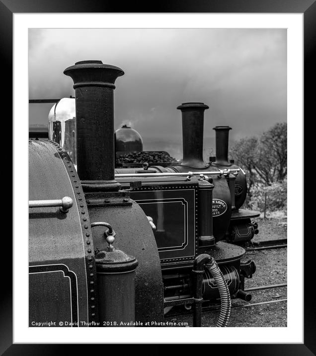 Old Engine Shed Lineup, Ffestiniog Railway Framed Mounted Print by David Thurlow