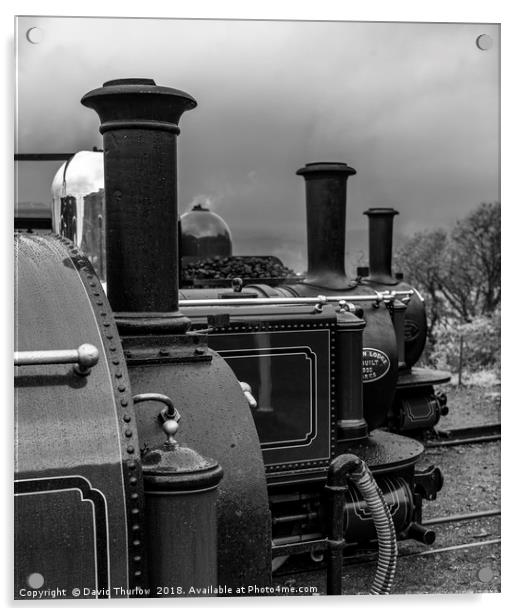 Old Engine Shed Lineup, Ffestiniog Railway Acrylic by David Thurlow