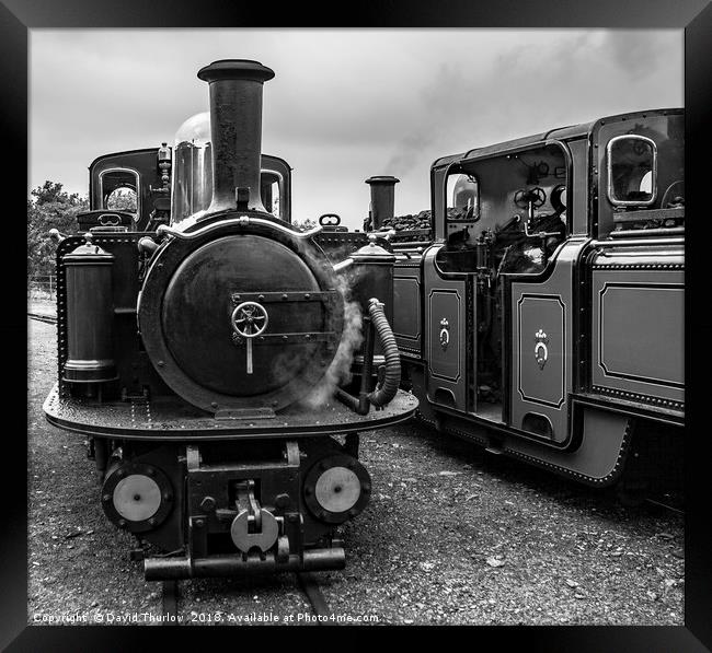 Old Engine Shed Lineup, Ffestiniog Railway Framed Print by David Thurlow