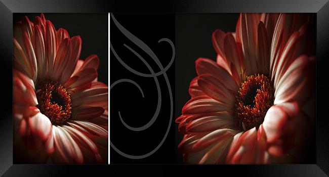 Floral Red Head Diptych Framed Print by Aj’s Images
