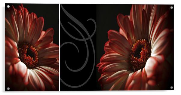 Floral Red Head Diptych Acrylic by Aj’s Images