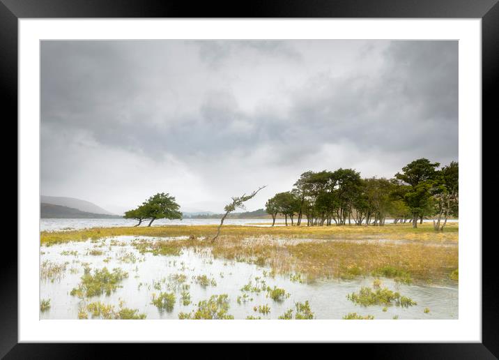 Loch Tulla, high water Framed Mounted Print by Tony Higginson