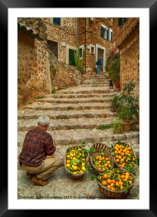 Oranges and Lemons at Fornalutx Framed Mounted Print by Paul F Prestidge