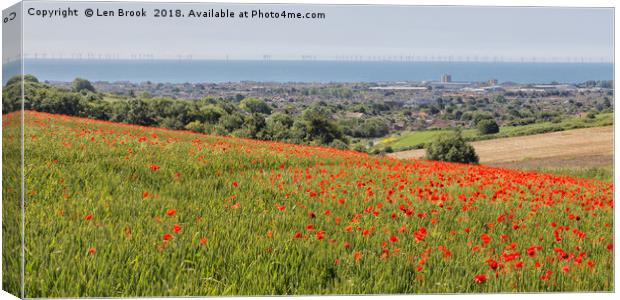 Lancing Poppies Canvas Print by Len Brook