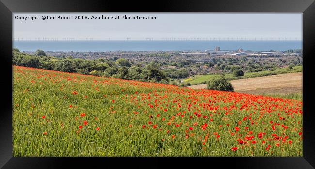 Lancing Poppies Framed Print by Len Brook