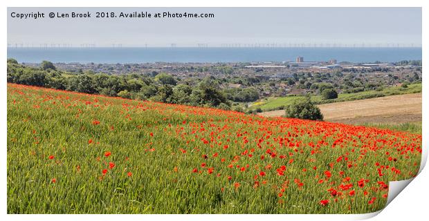 Lancing Poppies Print by Len Brook