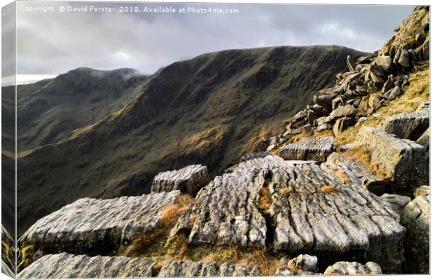 Striding Edge Viewpoint, Lake District, Cumbria Canvas Print by David Forster