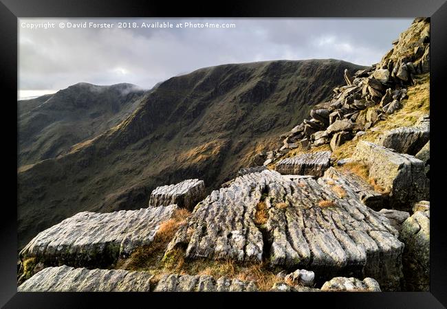 Striding Edge Viewpoint, Lake District, Cumbria Framed Print by David Forster