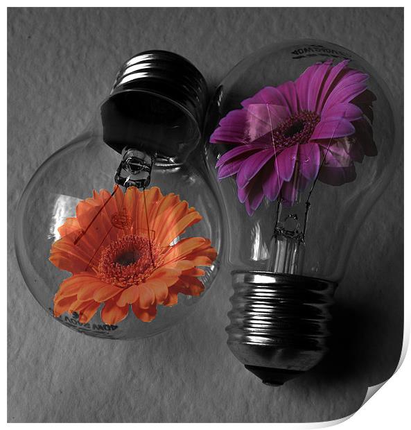 Flower bulbs Print by Doug McRae