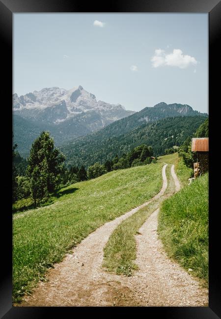 Pathway In Alps Mountains Framed Print by Patrycja Polechonska
