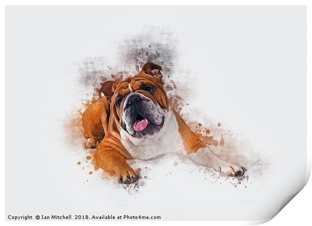 Bulldog Art Print by Ian Mitchell