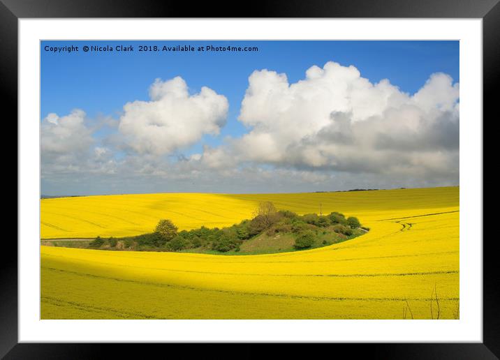 Field of Gold Framed Mounted Print by Nicola Clark