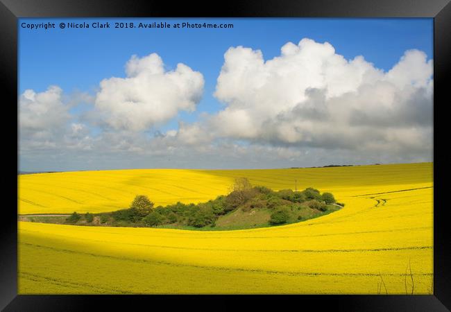 Field of Gold Framed Print by Nicola Clark