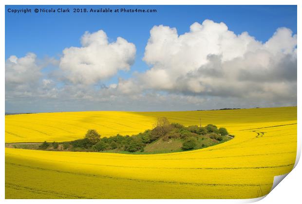 Field of Gold Print by Nicola Clark