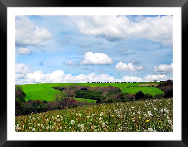 Welsh Fields of Pembrokeshire. Framed Mounted Print by paulette hurley