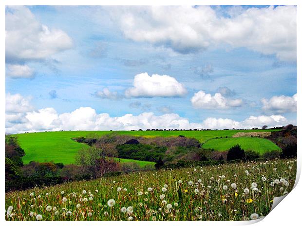 Welsh Fields of Pembrokeshire. Print by paulette hurley