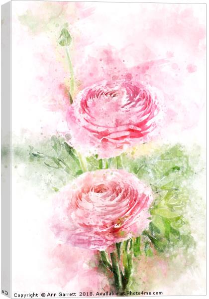 Pink Ranunculus Watercolor Canvas Print by Ann Garrett