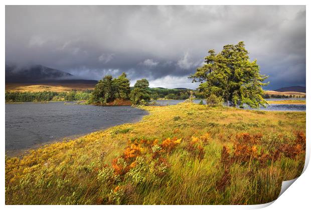 Loch Tulla Print by Tony Higginson
