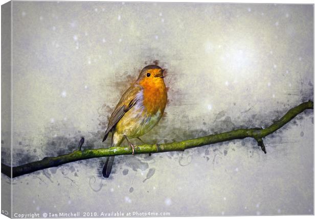 Winter Robin Canvas Print by Ian Mitchell